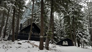 Uklassifisert bilde, 3 av 21, knapp