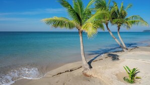 Una playa con palmeras y agua azul cristalina.