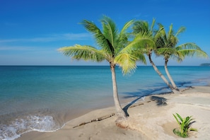 Beach - chaolaoseabreeze.com (Tha Mai)