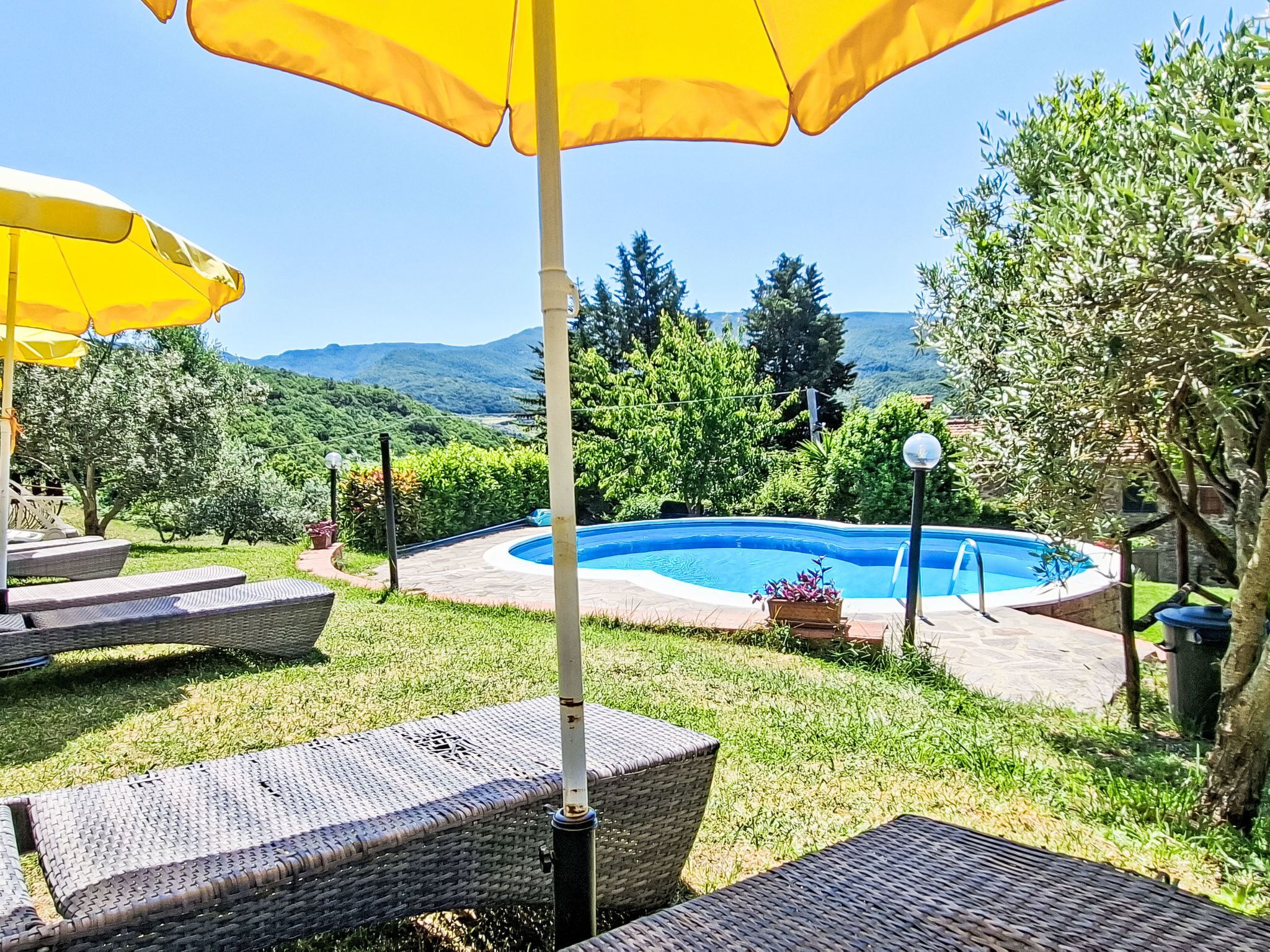 Un patio trasero con piscina, sillones de mimbre y sombrillas amarillas.