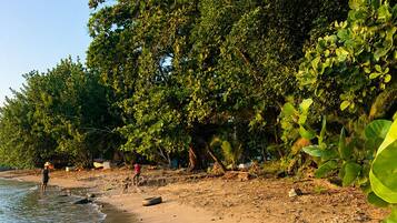 A beach with trees and a person standing by the water.