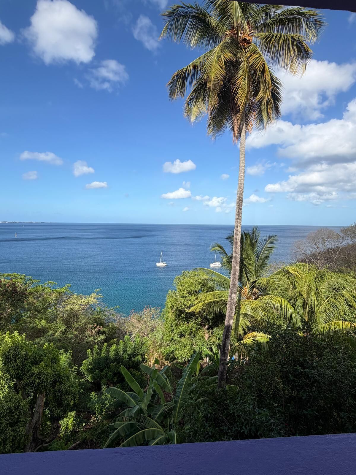 A tropical beach with a clear view of the ocean, palm trees, and a distant sailboat.
