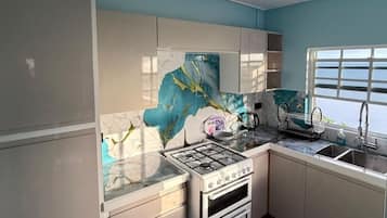 Fridge, oven, stovetop, electric kettle