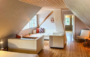 Smart-TV, Kamin