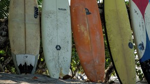 A row of surfboards leaning against a wall.