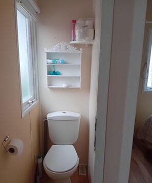 Shower, hair dryer - A fully equipped 4-star campground mobile home, ideal for families (Besse-et-Saint-Anastaise)