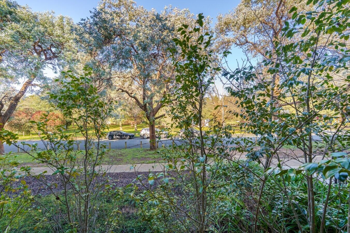 A parking area with trees and a road.