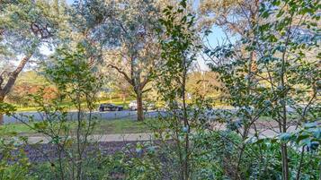 A parking area with trees and a road.
