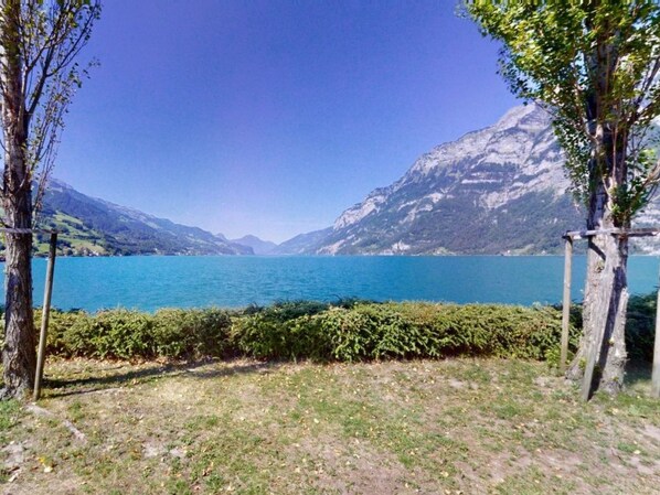 A clear view of a lake with mountains in the background, surrounded by trees and a grassy area.