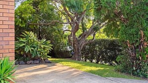 Una propiedad residencial con un árbol grande, un muro de ladrillo y un césped bien cuidado.