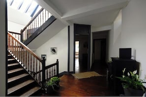 A staircase leading to an upper level with a skylight, a fireplace, and potted plants.