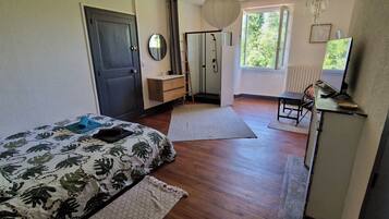 A bedroom with a bed, a dresser, a mirror, a shower, and a window.