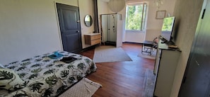 A bedroom with a bed, a dresser, a mirror, a shower, and a window.