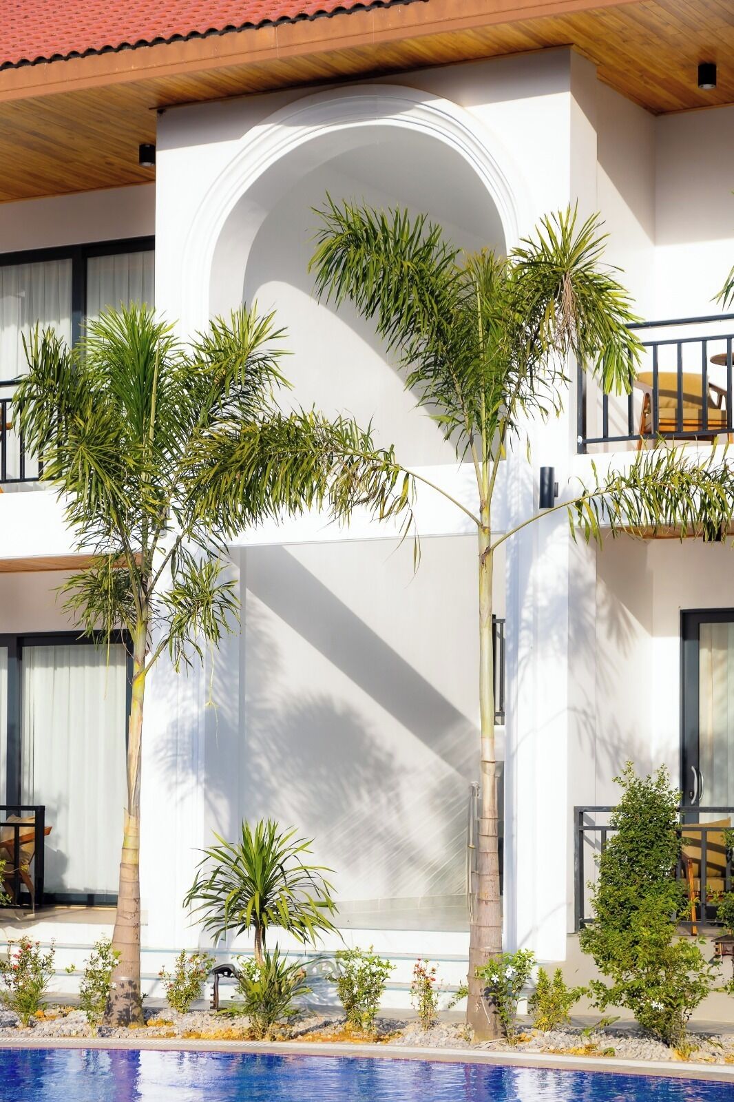 A modern building with a pool, palm trees, and a balcony.