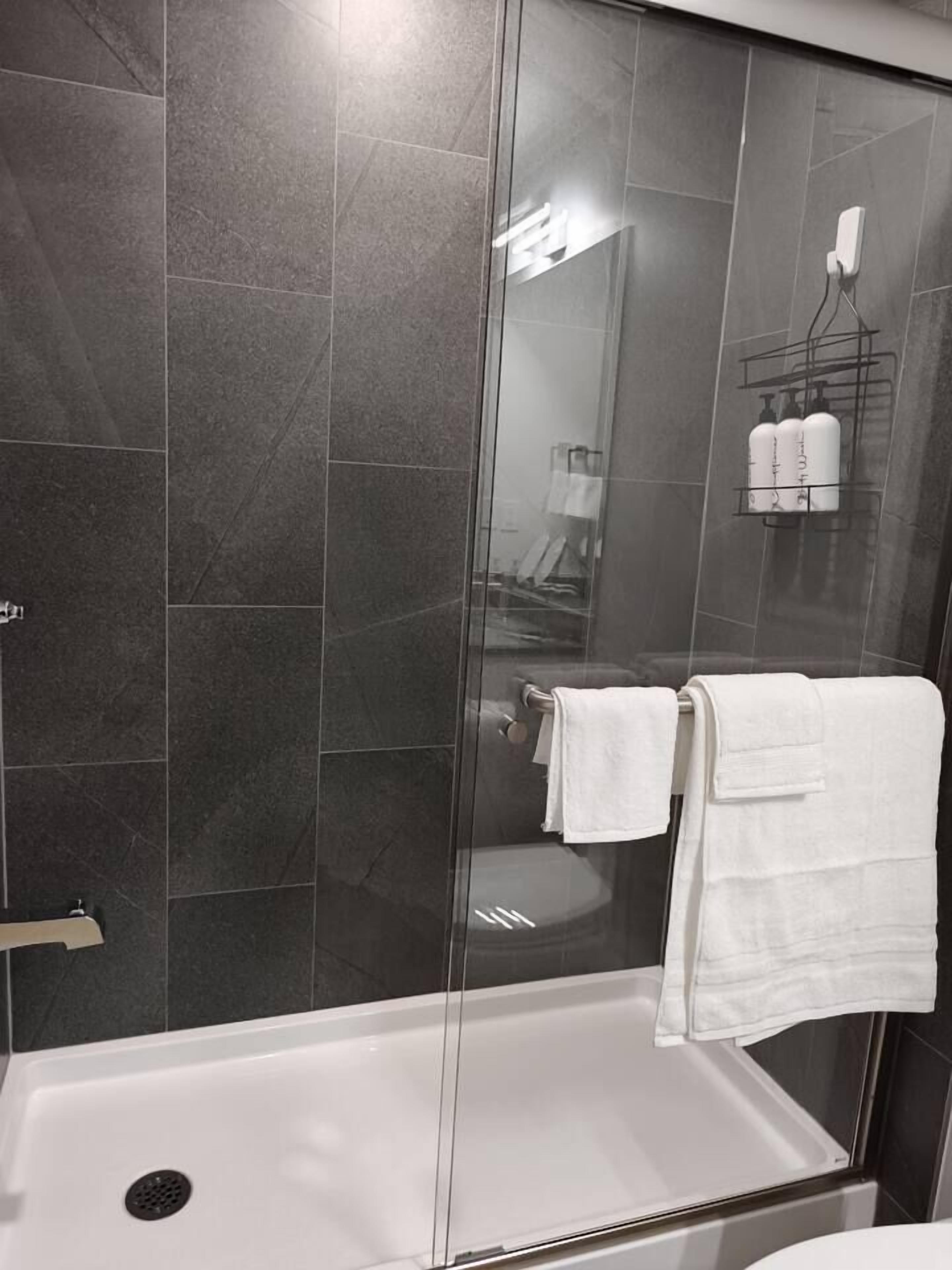 Séchoir à cheveux, serviettes fournies, savon, shampooing