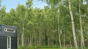 A modern two-story building with a flat roof, surrounded by a dense forest of birch trees. - Cozy retreat near the Djursland coast (Ørsted)