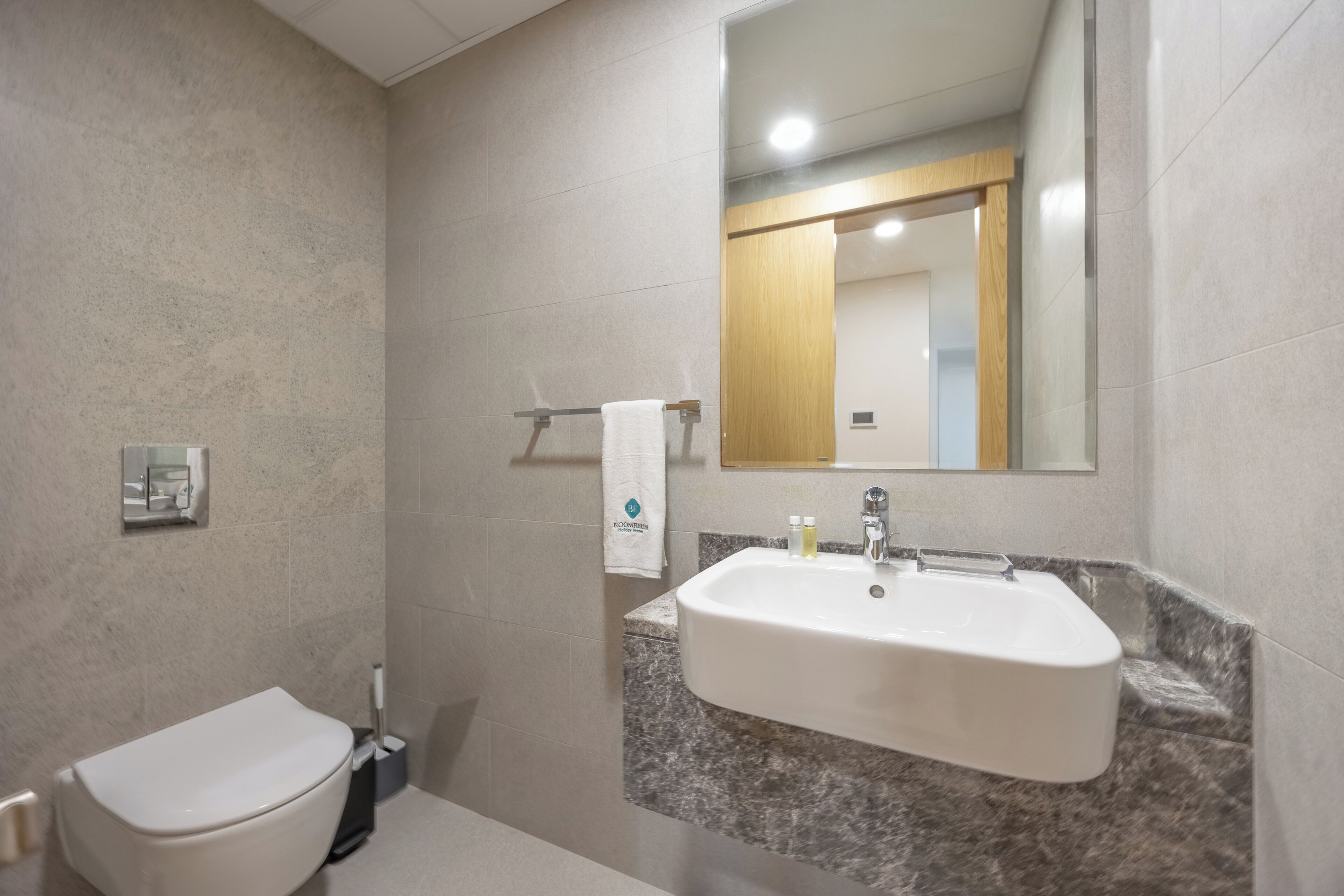 Een badkamer met toilet, wastafel, spiegel en handdoekhouder.