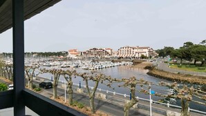 A marina with boats, a road with trees, and buildings in the background.