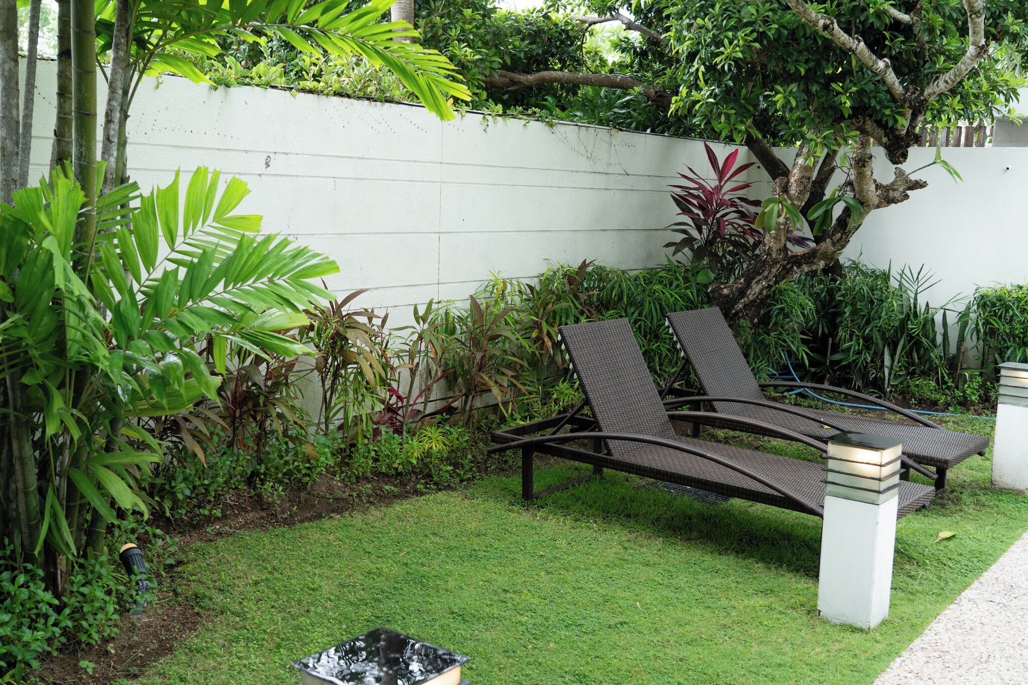 A garden with a bench, lush greenery, and a white wall.
