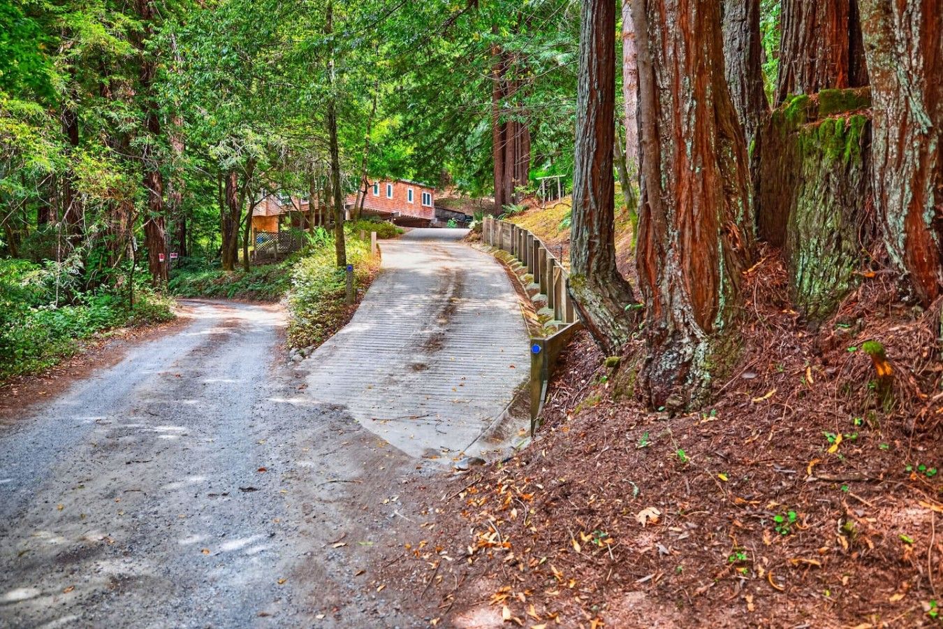 A forested area with a paved path leading to a building with a red roof.