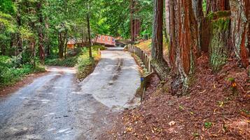 A forested area with a paved path leading to a building with a red roof.