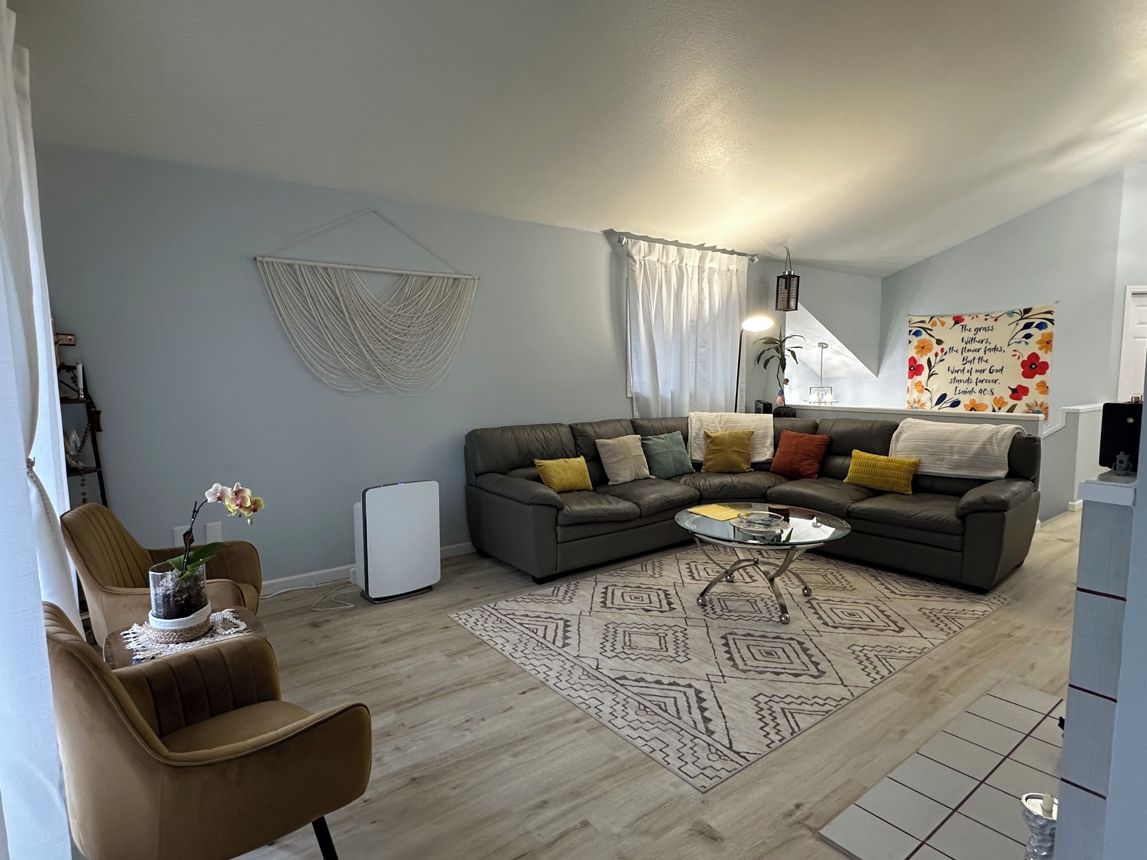 Smart TV, fireplace, books, computer monitors