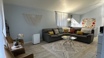 Smart TV, fireplace, books, computer monitors