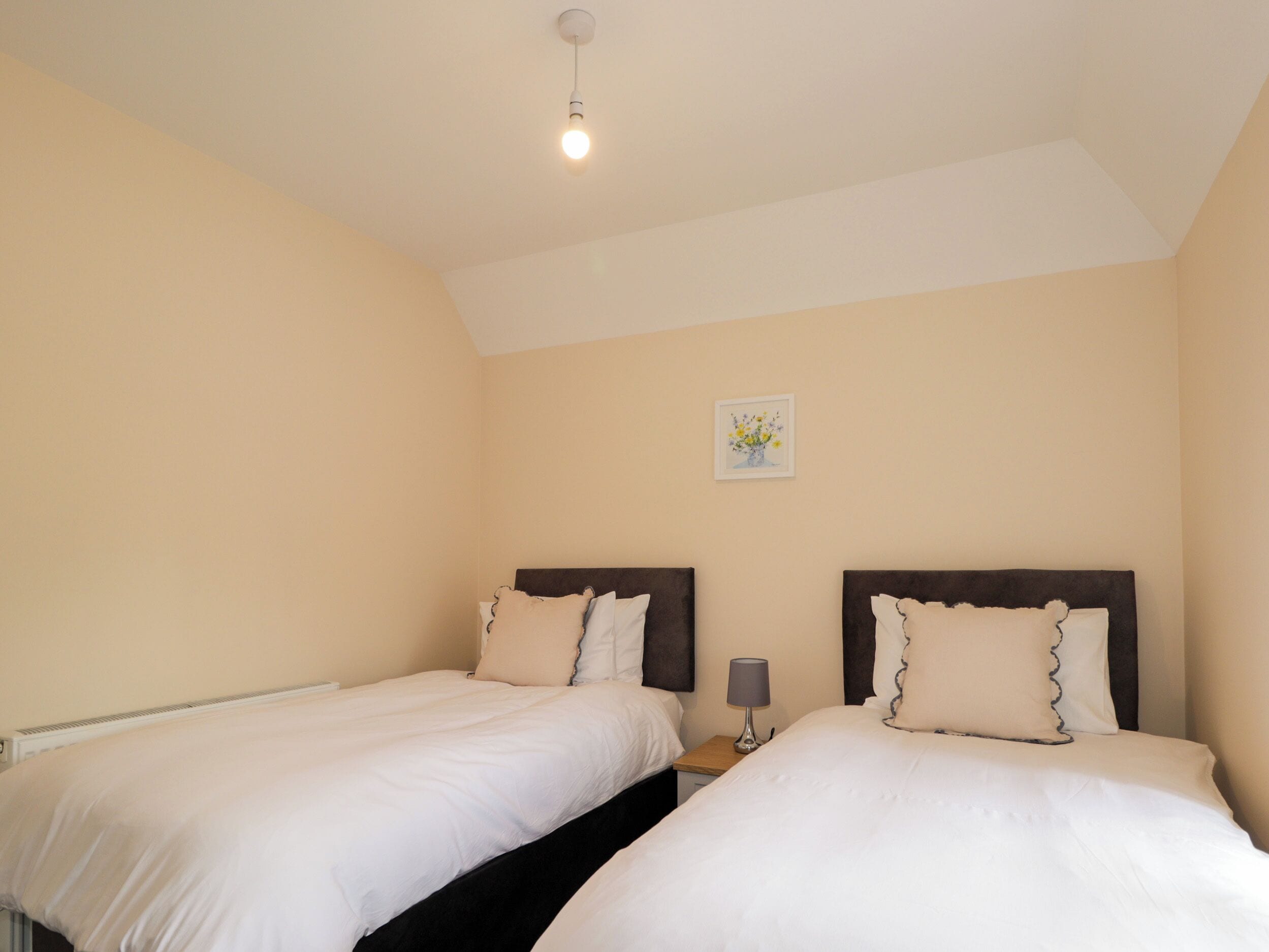 A bedroom with two beds, a nightstand with a lamp, a ceiling light, and a wall-mounted picture.