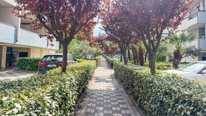 Un chemin pavé bordé de haies et d’arbres aux feuillages soigneusement taillés, aux couleurs automnales.