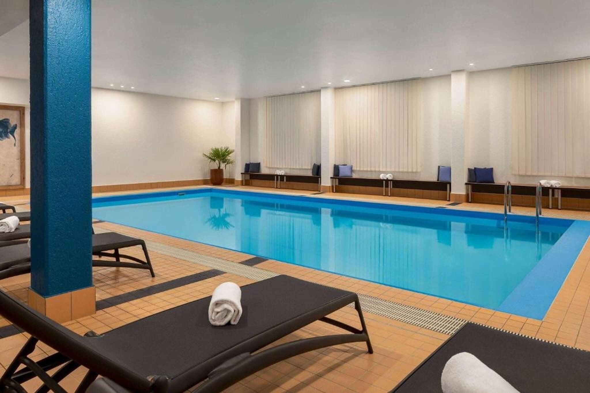 Une piscine avec des chaises longues et une plante en pot.