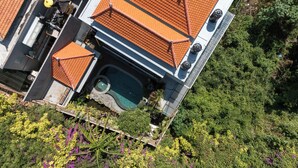 An aerial view of a house with a swimming pool, surrounded by lush greenery and a variety of plants.