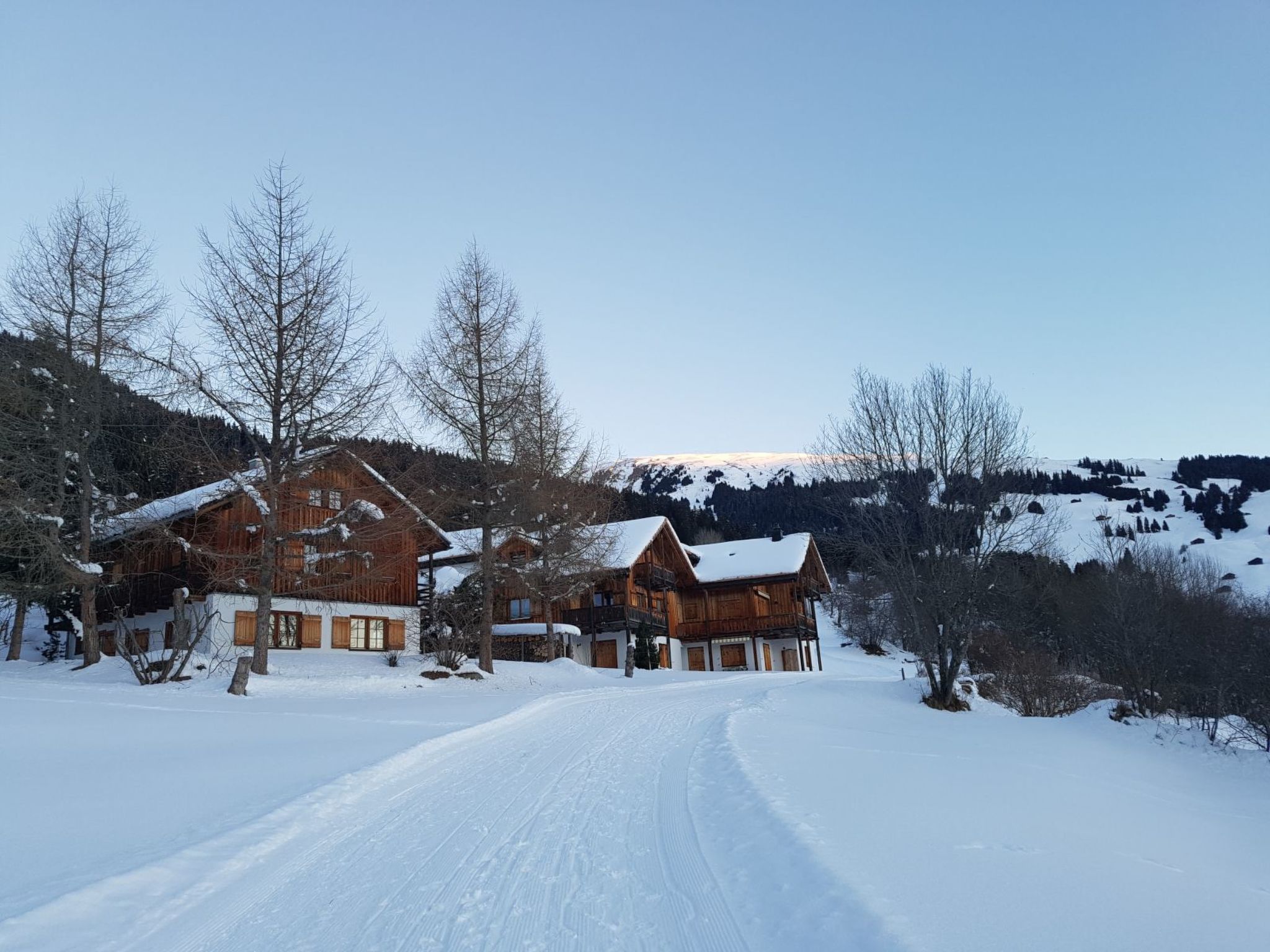 Een houten lodge met een oprit die bedekt is met sneeuw, omringd door bomen en heuvels.