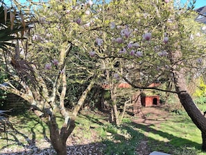 Jardines del alojamiento