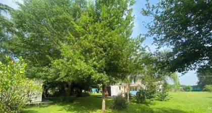 Country house with a pool, lush gardens, and trees