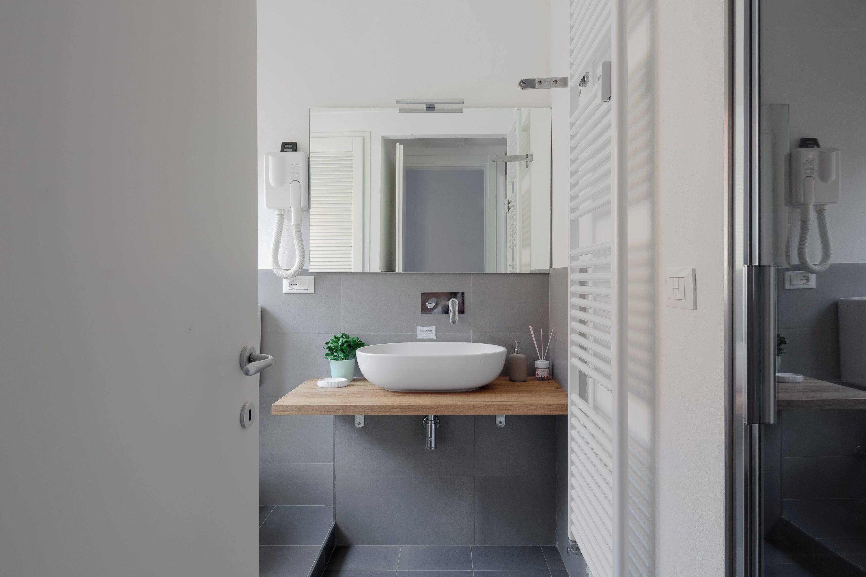 A modern bathroom with a white sink, a mirror, a handheld showerhead, and a small potted plant.