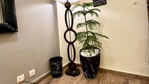Ein Eckzimmer mit Holzboden, einer Stehlampe, einem Topfpflanzen und einem an der Wand befestigten Fernseher.