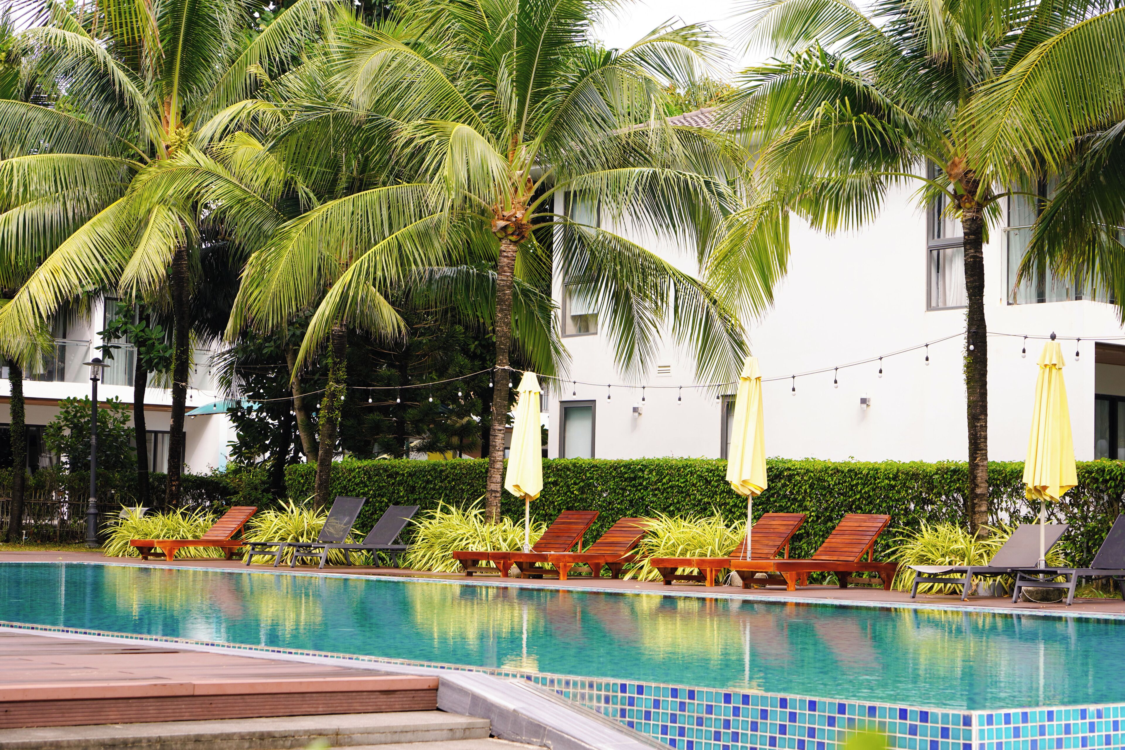 Una piscina con sillas de descanso y palmeras.