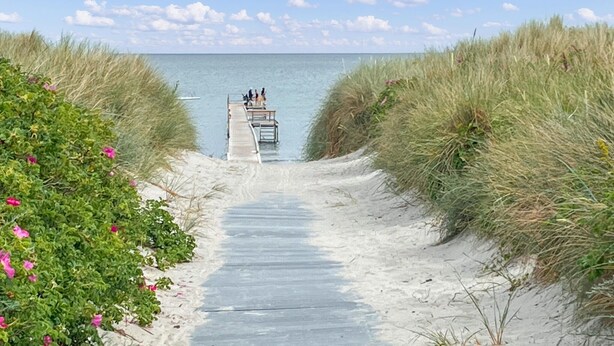 A sandy pathway leading to a pier extending into the water, surrounded by grass and vegetation.