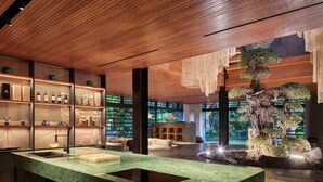 A modern interior with a bar area, wooden ceiling, and a large indoor plant.