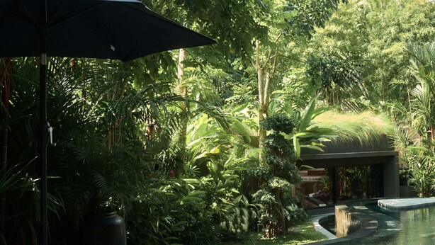 A poolside lounge area with wooden deck, lounge chairs, and an umbrella.