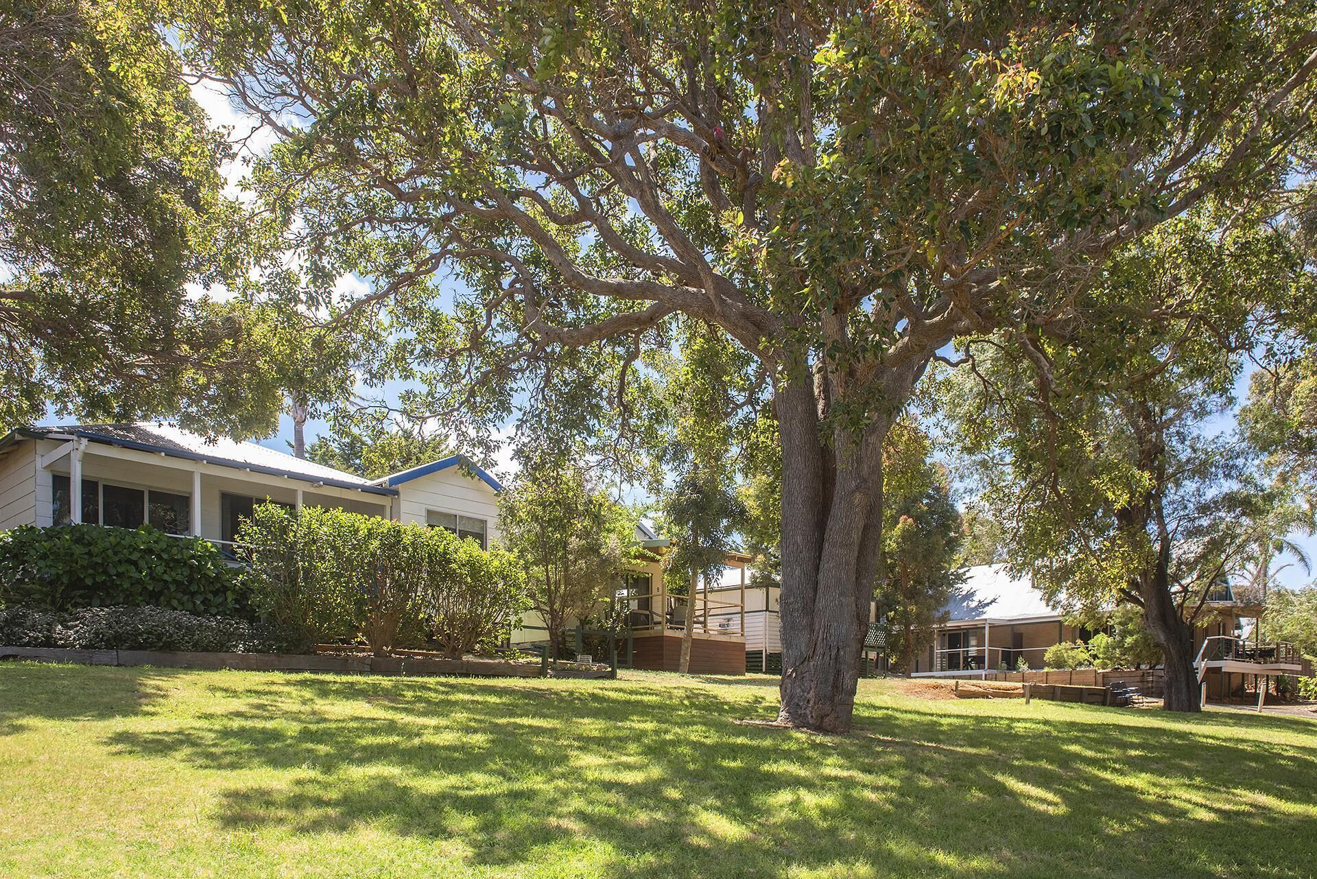 Eksteriør