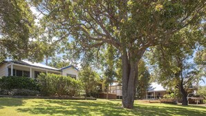 A large tree in a grassy area with a house in the background. - Riverscape Cottage No.8 with River Views - Riverscape - unit 8 with views over the Blackwood River (Augusta)