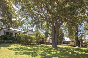 A large tree in a grassy area with a house in the background. - Riverscape Cottage No.8 with River Views - Riverscape - unit 8 with views over the Blackwood River (Augusta)