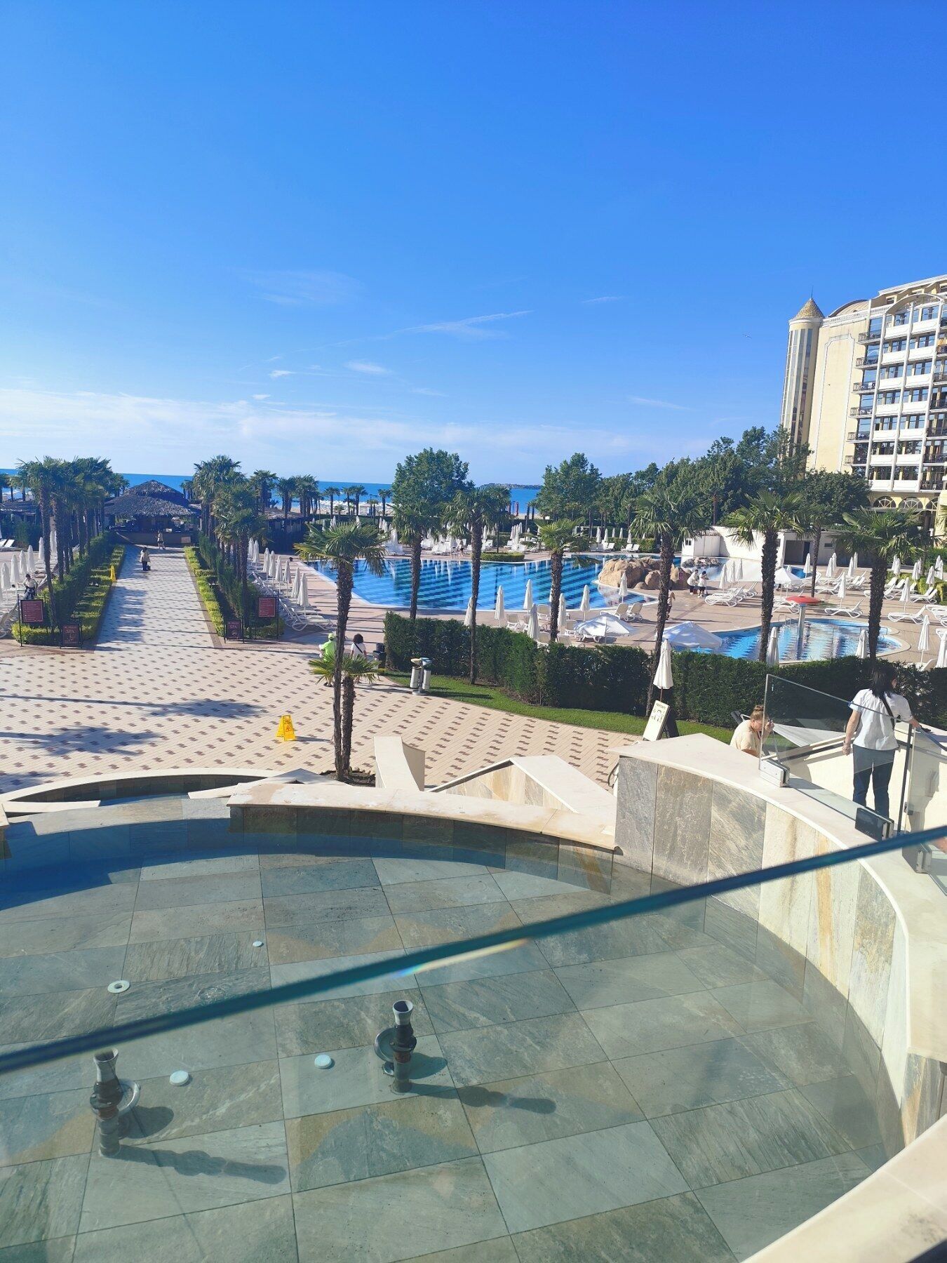 Zona de piscina en un resort, con vista despejada a la piscina, sillones de descanso y palmeras.