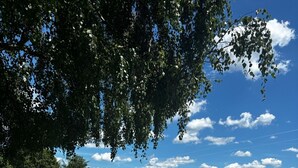 Reihenweise angeordnete Liegestühle im Freien, ein blaues Baldachin und ein klarer, blau bewölkter Himmel.