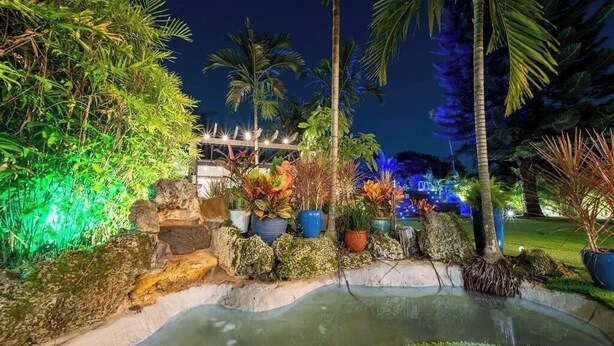 Un jardin nocturne avec un étang, des rochers et différentes espèces de plantes.