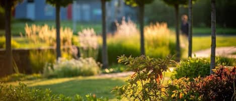 Un jardín con diversas plantas y árboles, un camino y un edificio distante.