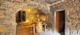 Cozy Stone House in the Aragonese Pyrenees