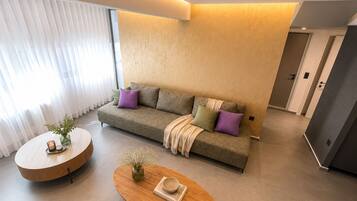 Deluxe Apartment | View from room