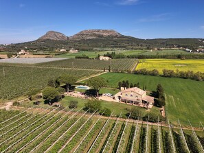An aerial view of a vineyard with rows of grapevines, a swimming pool, and a building with a sloped roof. - Peace and elegance in a Catalan country house with a pool, 3 km from the beach. (Torroella de Montgrí)